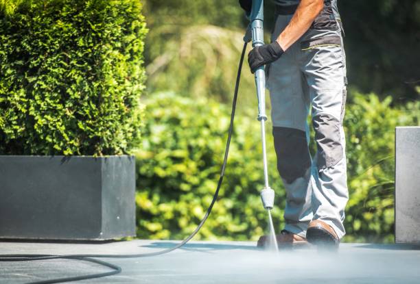 Best Boat and Dock Cleaning  in North River Shores, FL